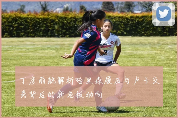 丁彦雨航解析哈里森履历与卢卡交易背后的新老板动向
